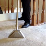 Carpet Cleaning